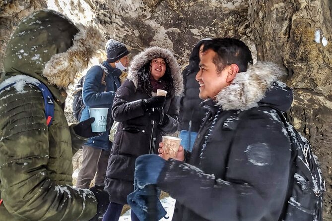 Pravcicka Gate & Bastei Bridge Winter National Park Tour from Prague - What you’re really paying for with $190.60