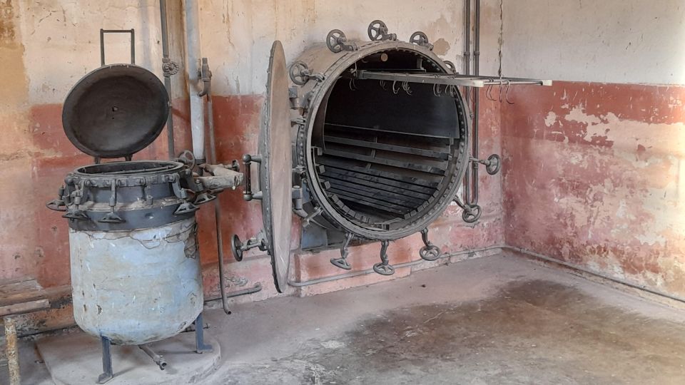 Private Half-Day Tour To Terezin Concentration Camp - The Hidden Synagogue and Magdeburg Barracks: Culture Under Bans