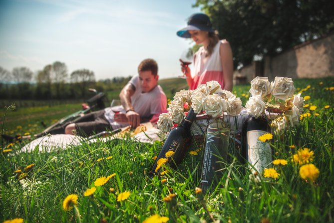 Private PICNIC in Bohemian Vineyards and Wine Tasting 4WD Tour - Johann W in Třebívlice: Cellar Time and a Tasting You Can Follow