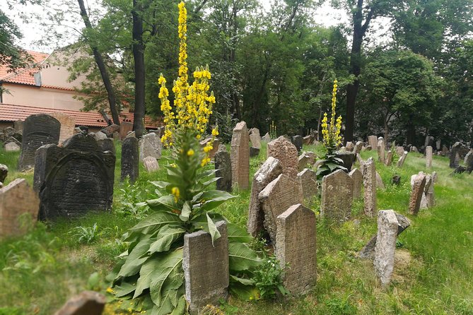 Private Stories of Jewish Prague Walking Tour - Pinkas Synagogue: Shoah memory paired with children’s art