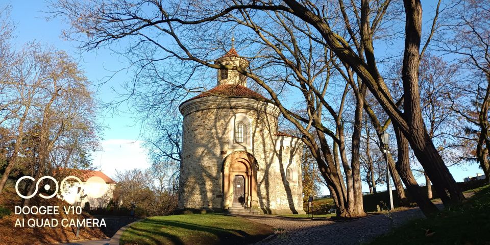 Real life in Prague - Easy Walk from Vysehrad to Vyton - Who should book this dog walk (and who should not)