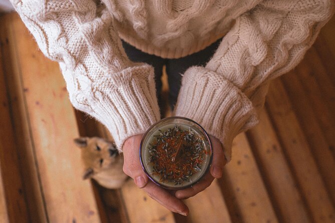 Soy Candles Workshop in Prague - Finding The Right Mood in Vinohrady (Meeting Point and First Impressions)