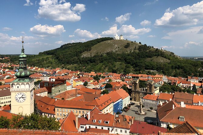 Ultimate private wine tasting experience from Prague to Moravia (3 days) - Day 2 Mikulov Chateau: library, cellar, and the giant barrel moment