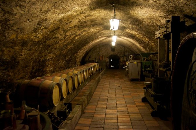 Wine Tasting Day Trip from Prague to Melnik - Key things to know before you go