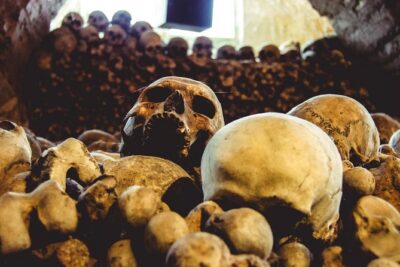 Wine Tasting Day Trip from Prague to Melnik - Inside the medieval wine world: a cellar story that goes back centuries