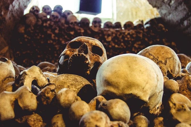 Wine Tasting Day Trip from Prague to Melnik - Inside the medieval wine world: a cellar story that goes back centuries
